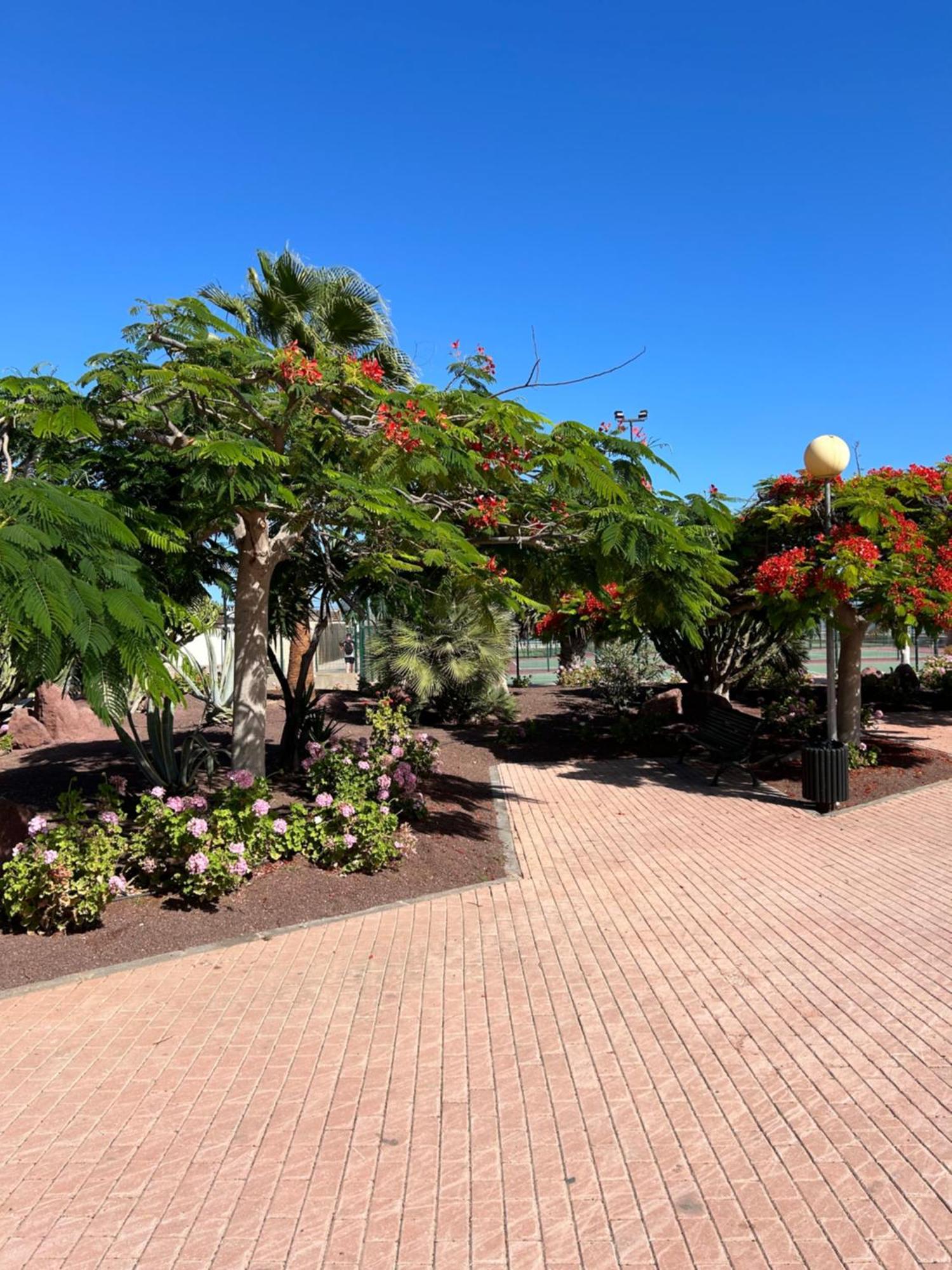 Honey Bunch Apartment Caleta De Fuste Exterior foto